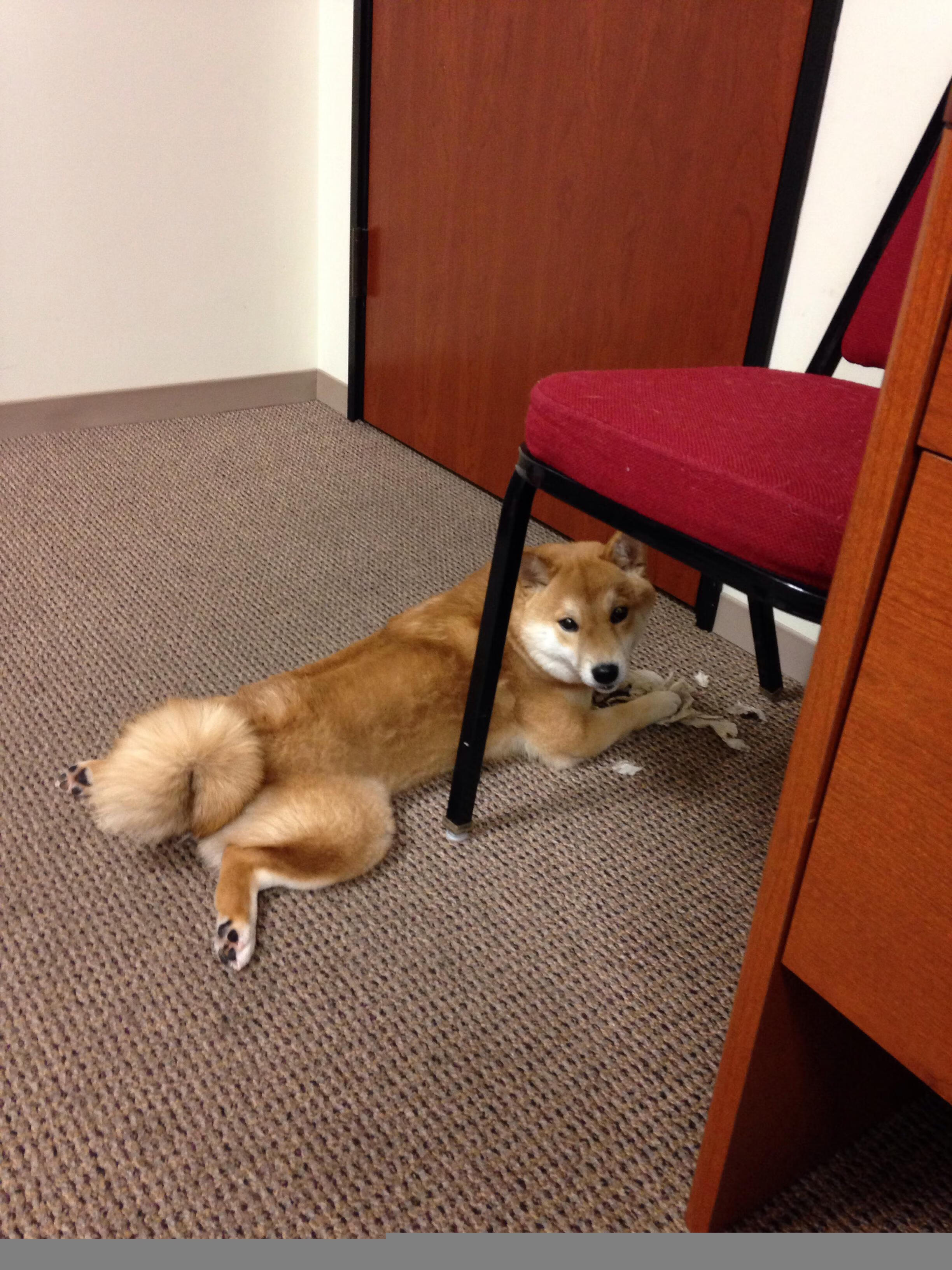 爱游戏全站app注册-史上最年轻“天才中场”在欧冠开启新篇章，最年轻的天才